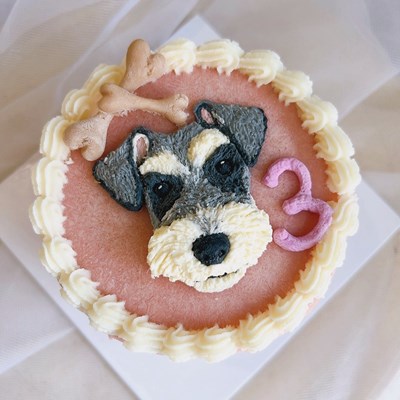 0320一站式-萊恩寵物主圖