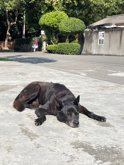 0416-一站式-石頭主圖