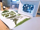 叢林找插畫工作室體驗課程成品