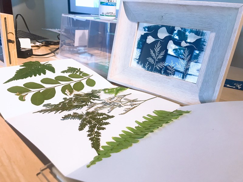 叢林找插畫工作室體驗課程成品