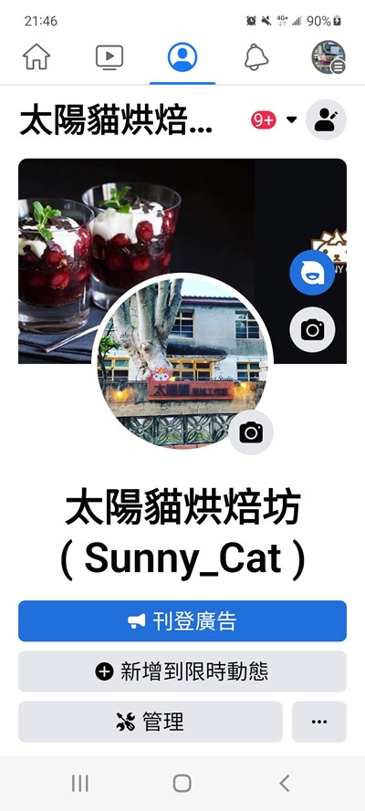 太陽貓主圖- 林貞貞
