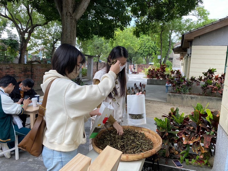 同學正在進行封茶體驗